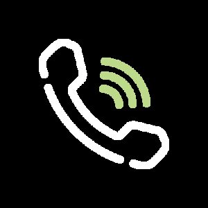 Zwvl phone 400x400px