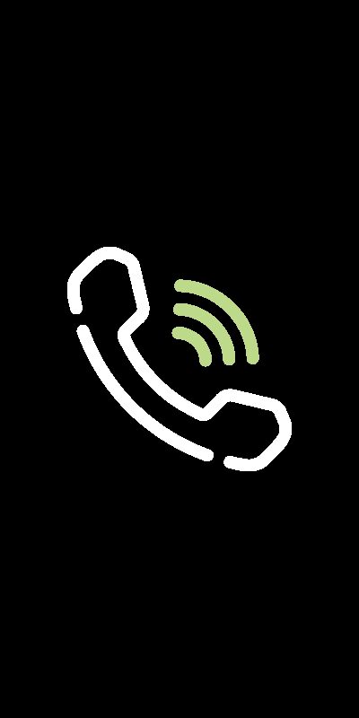 Zwvl phone 800x400px